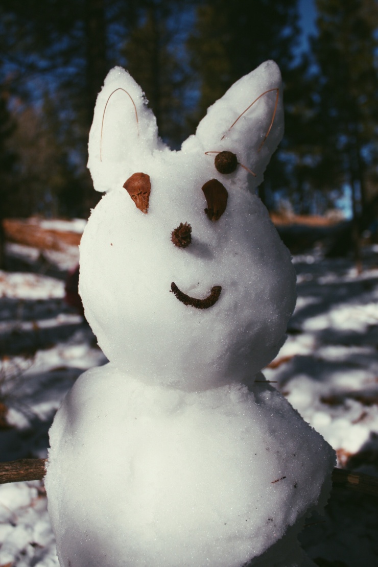 Snow-dog